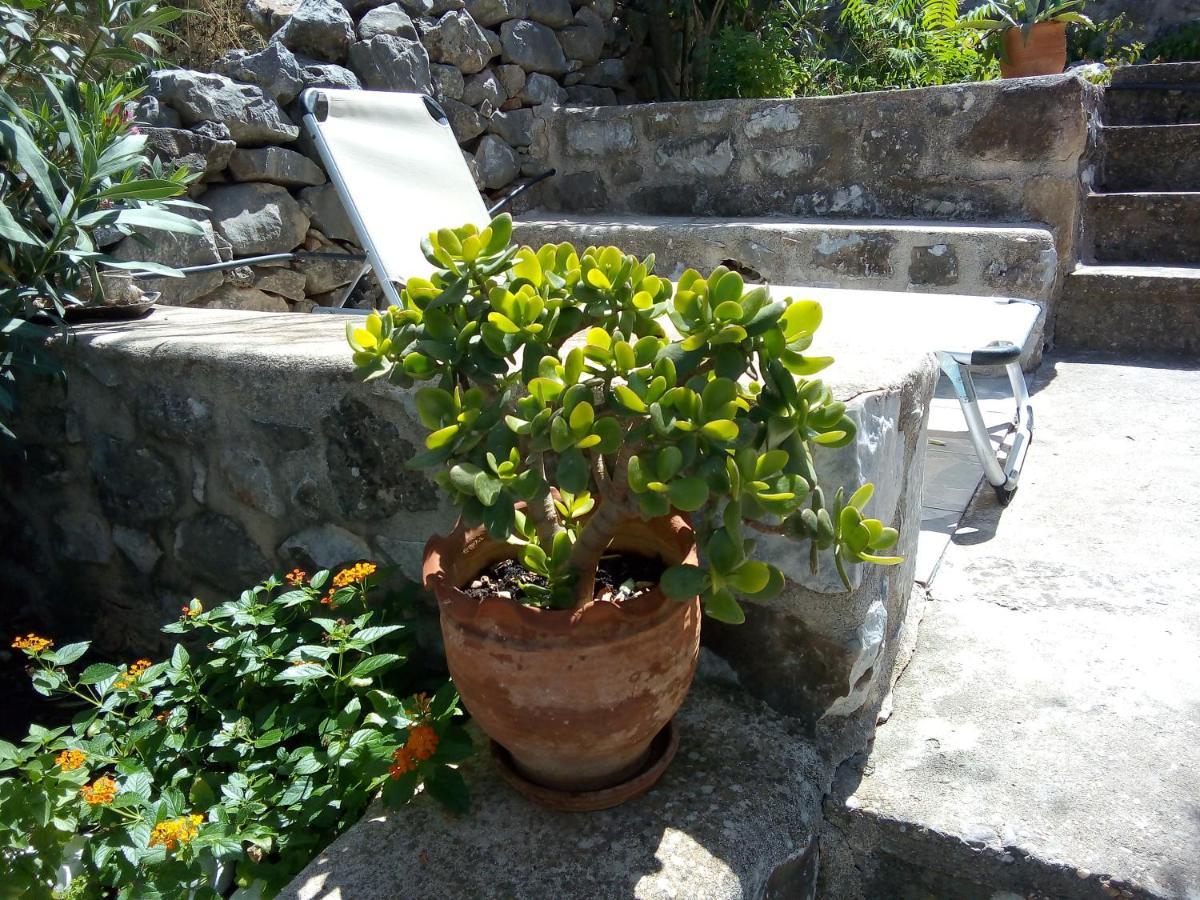 Amphitrite'S House Apartment Neo Oitilo Bagian luar foto
